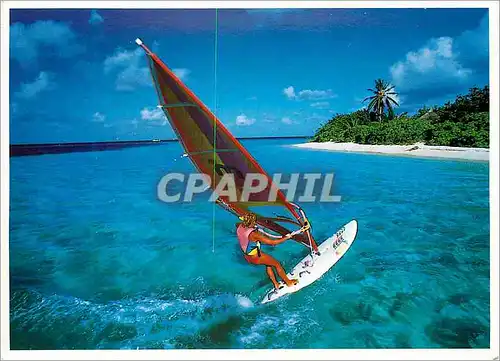 Cartes postales moderne Wind Surf Strasbourg