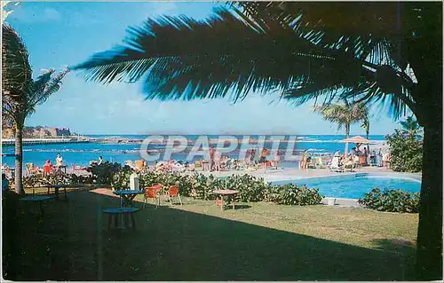 Cartes postales moderne Terrace and pool New Hotel Puerto Rico