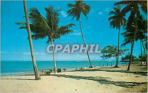 Cartes postales moderne Intercontinental Hotel San Juan