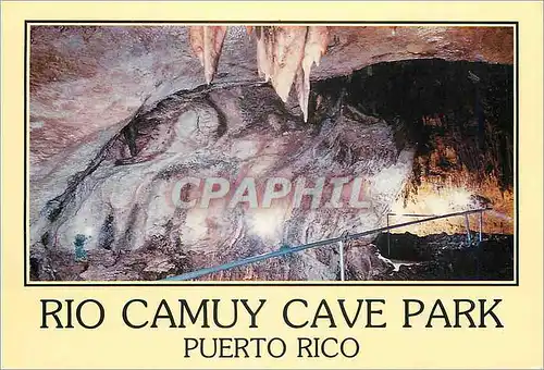 Cartes postales moderne Labyrinth at Cave Ciara Puerto Rico