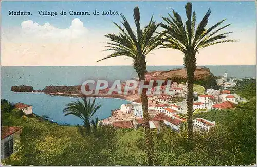 Cartes postales Madeira Village de Camara de Lobos