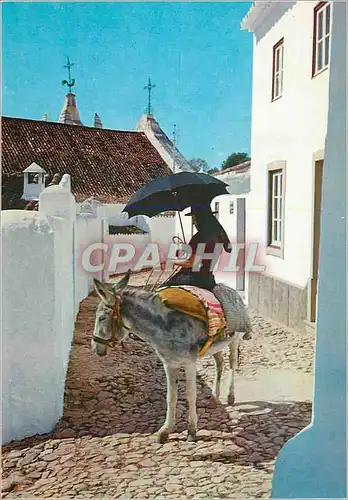 Cartes postales moderne Women in Algarve Ane Donkey