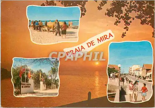 Moderne Karte Sunset Praia de Mira