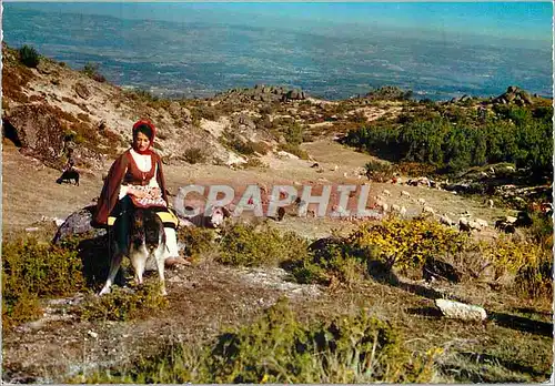 Cartes postales moderne Serra da Estrela Pastora