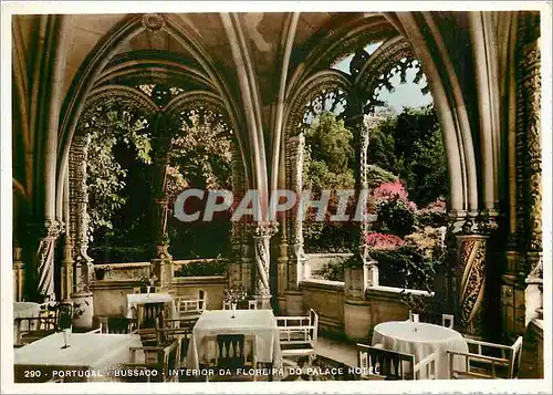 Cartes postales moderne Bussaco-Interior da Floreira do Palace-Hotel Aveiro