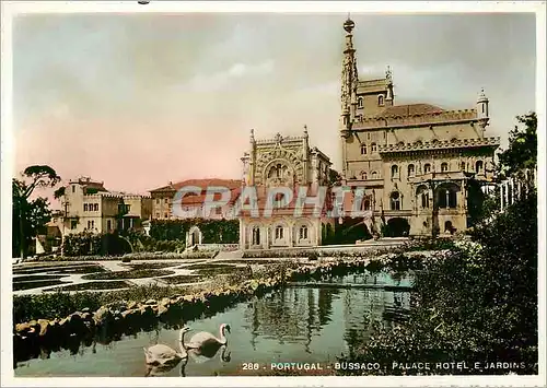 Cartes postales moderne Bussaco Palace-Hotel e Jardins