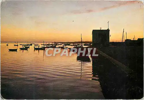 Cartes postales moderne Port Olhao Algarve