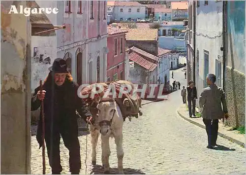Moderne Karte Old man in Algarve Ane Donkey