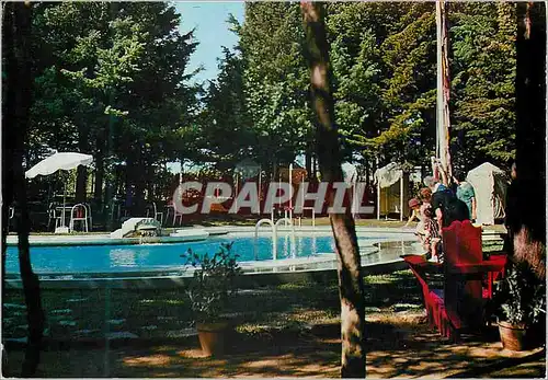 Cartes postales moderne Piscina Curia Aveiro