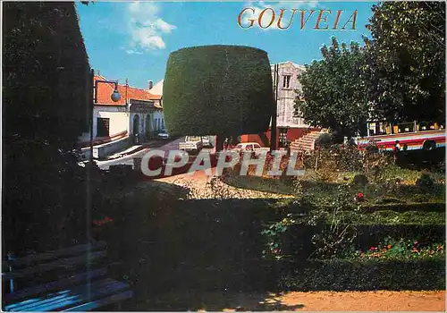 Cartes postales moderne Centro da Vila Gouveia