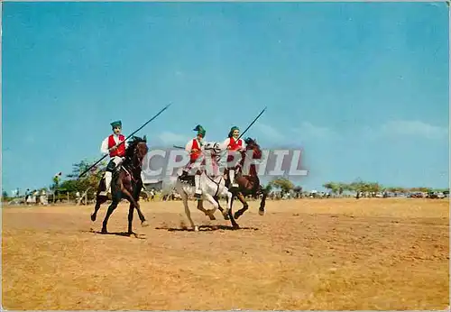 Cartes postales moderne Campinos of the Ribatejo-Vila Franca de Xira