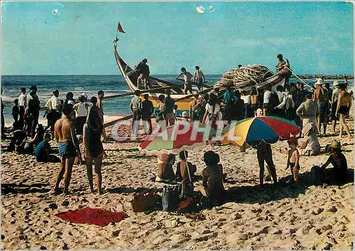 Cartes postales moderne Bathing Season Praia da Vieira Leiria