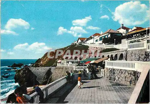 Cartes postales moderne Pedro de Moel Beach Leiria