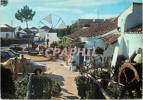 Cartes postales moderne Ceramice Regional Sobreiro