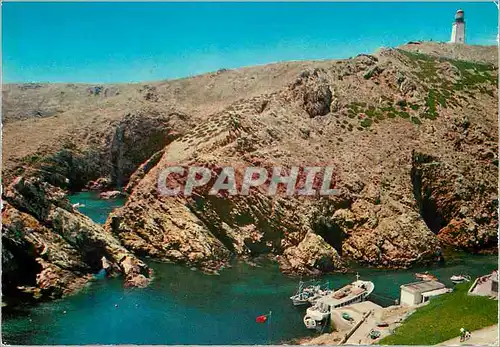 Cartes postales moderne Berlengas Peniche