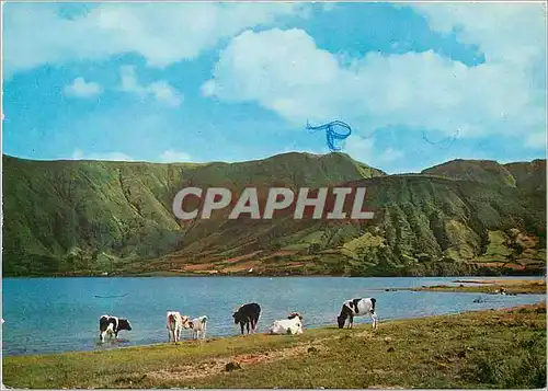 Cartes postales moderne S. Miguel Acores