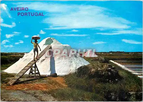 Cartes postales moderne Aveiro Works