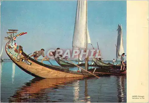 Cartes postales moderne Molceiros River Aveiro Bateau de peche