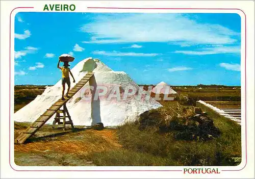 Cartes postales moderne Aveiro Works