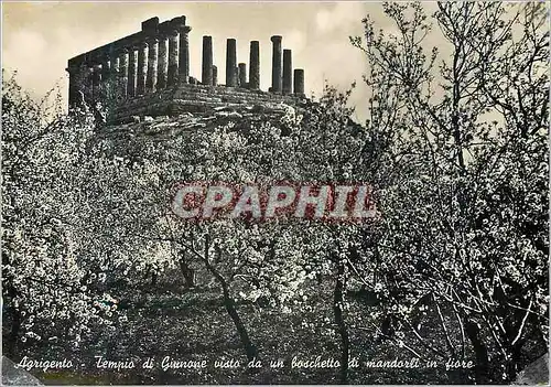 Cartes postales moderne Agrigento Tempio di Giunone