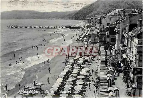 Cartes postales moderne Alassio Riviera dei Fiori Spiaggia e Molo