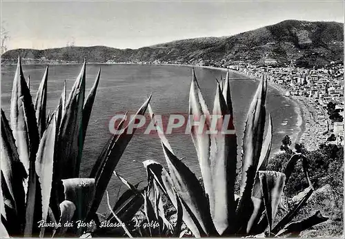 Moderne Karte Alassio Riviera dei Fiori Il Golfo