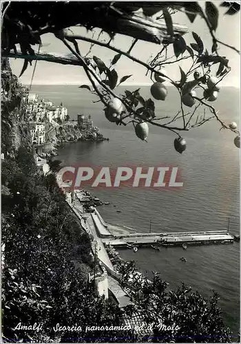 Cartes postales moderne Amalfi Panoramico e il Molo