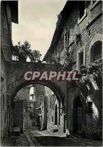 Cartes postales moderne Assisi Caracteristic Street