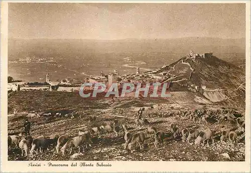 Cartes postales moderne Assisi Panorama dal Monte Subasio