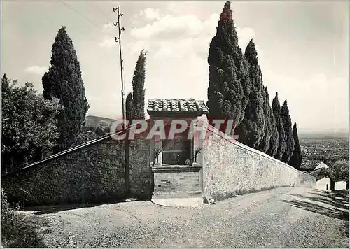 Cartes postales moderne Assisi Convento di S.Damiano-L'erta dei cipressi