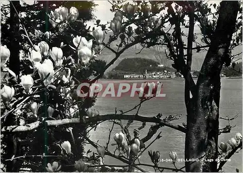Cartes postales moderne Bellagio Lago di Como