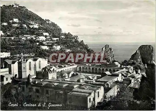 Cartes postales moderne Capri Certosa di S. Giacomo