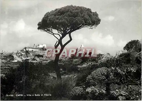 Cartes postales moderne Capri Villa e Salto di Tiberio