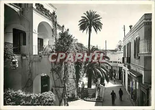 Cartes postales moderne Capri Hotel La Palma
