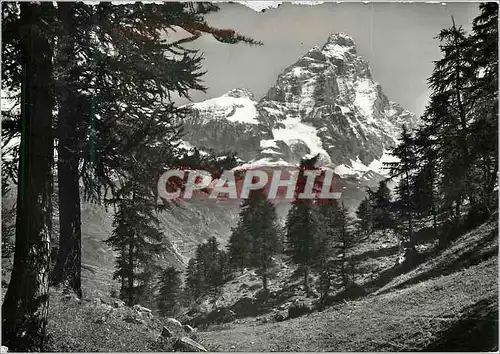 Cartes postales moderne Cervinia Aoste Breuil