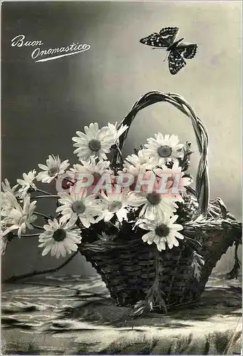 Cartes postales moderne Buon Compleanno