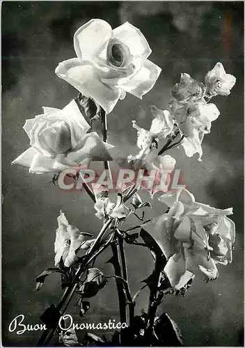 Cartes postales moderne Buon Onomastico