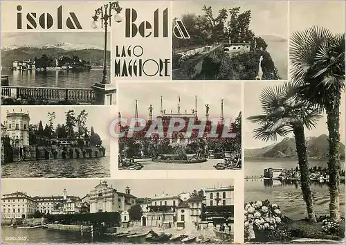 Cartes postales moderne Lago Maggiore Isola Bella Panorama