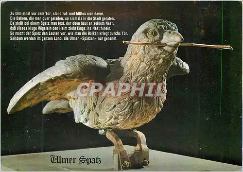 Cartes postales moderne Ulmer Spatz Steinplastic Ulm