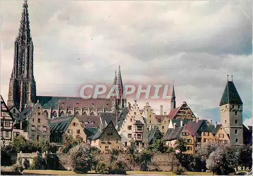 Cartes postales moderne Ulm a.d Donau Metzgerturm und Munster