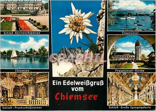 Cartes postales moderne Ein Edelweissgruss vom Chiemsee