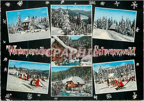 Cartes postales moderne Winterparadies Schwarzwald