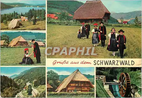 Cartes postales moderne Schwarzwald