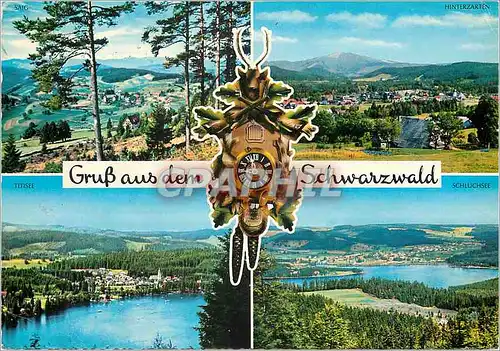 Cartes postales moderne Schwarzwald Panorama