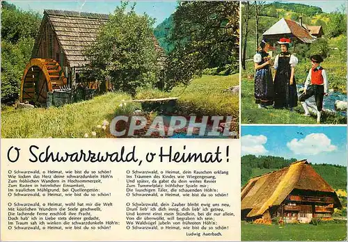 Cartes postales moderne Schwarzwald Heimat