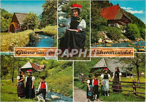 Cartes postales moderne Schwarzwald