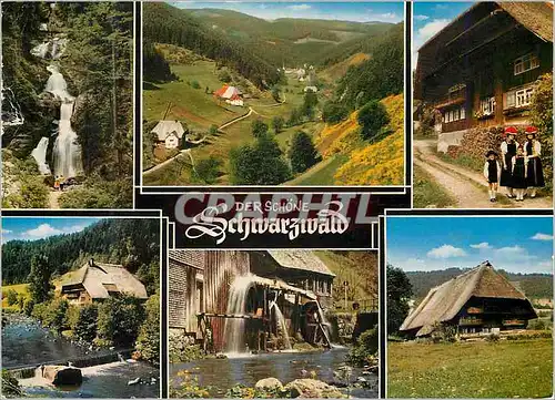 Cartes postales moderne Der Schone Schwarzwald