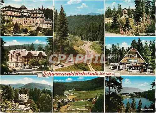 Cartes postales moderne Schwarzwald - Hochstrasse
