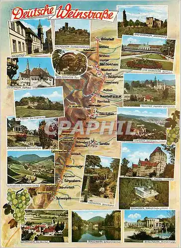 Cartes postales moderne Deutsche Weinstrasse
