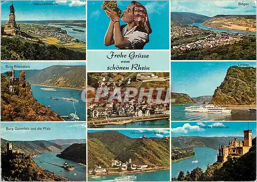 Cartes postales moderne Schonen Rhein